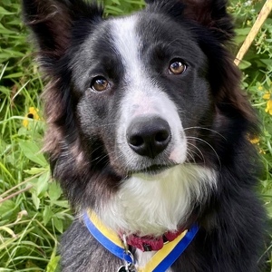 Fundraising Page: Nicole Bell